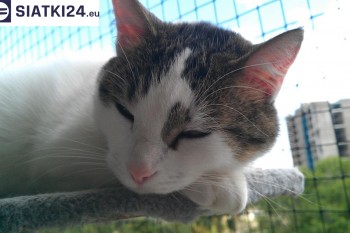 Siatki Głuchołazy - Siatka na balkony dla kota i zabezpieczenie dzieci dla terenów Głuchołaz