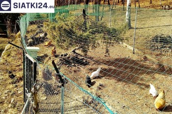 Siatki Głuchołazy - Siatka na woliery - zabezpieczenia ptaków w hodowli dla terenów Głuchołaz